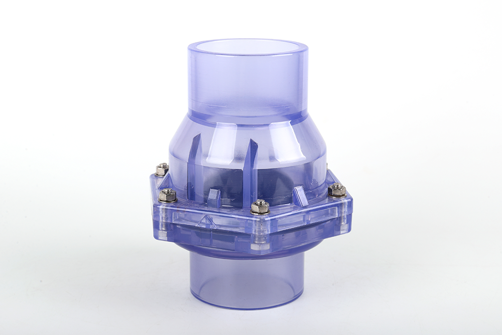 西乌珠穆沁透明翻板式止回阀